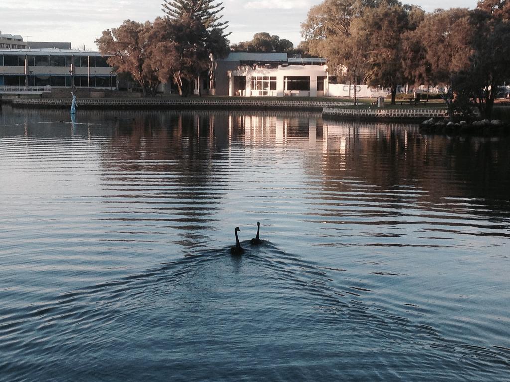 Mandurah Ocean Marina Chalets ภายนอก รูปภาพ